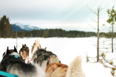 417549561_1531665030744145_19690529284908074_n