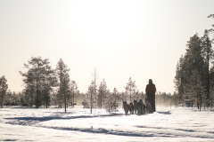 417702737_1531665837410731_4060902672178919783_n