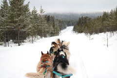 418171923_1531665470744101_5160590213999780989_n