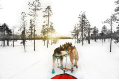 419071423_1531665304077451_5727842403572176772_n