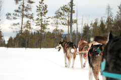 419742924_1531664864077495_9192725607513036299_n-1