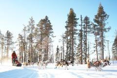 420168982_1531664364077545_619361439022638933_n