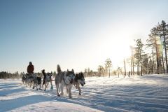 420391529_1531665777410737_5646976121158877377_n